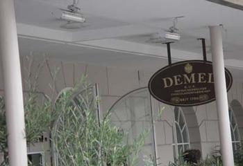 Demel